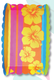 CHAROL FLORES CON FONDO DE COLOR X 4UNDS.