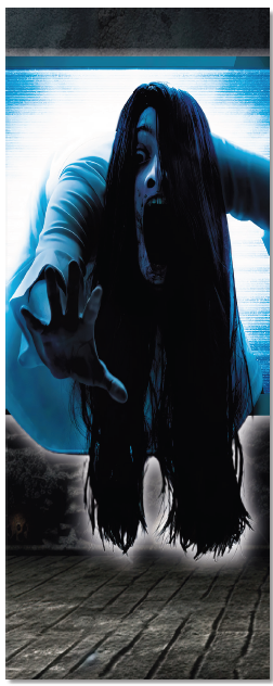 LONA PARA PUERTAS 75X200 CM - MUJER DEL ARO