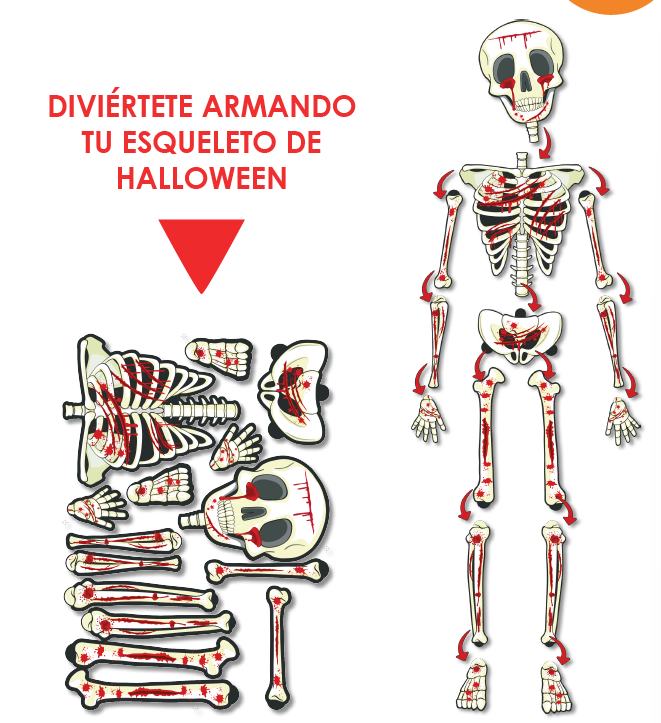 ESQUELETO ARMABLE CARTULINA X 1UNDS