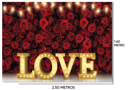 LONA DECORATIVA PARA PARED 250X160 CM - MURO DE ROSAS ROJAS - LOVE