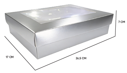 CAJA CARTULINA PLATEADO RECTANGULAR CON TAPA 26.5X17X7 CM + ACETATO