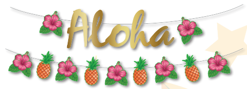 [CNV24020] GUIRNALDA COUCHE ALOHA CON PIÑA Y FLOR