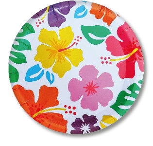 [CNV24D079] PLATO N. 7 - FLORES CON FONDO BLANCO X 12UNDS.