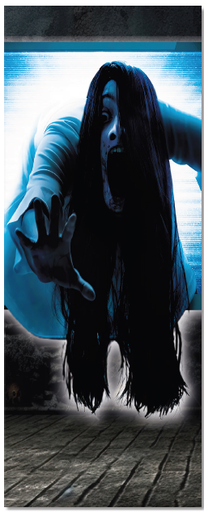 [HLW25LM43] LONA PARA PUERTAS 75X200 CM - MUJER DEL ARO