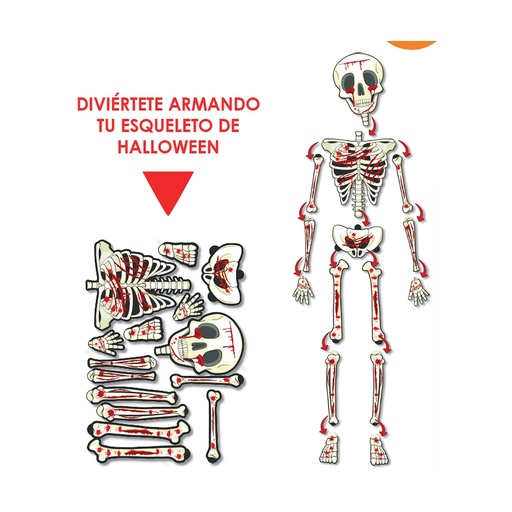 [HLW25EA85] ESQUELETO ARMABLE CARTULINA X 1UNDS